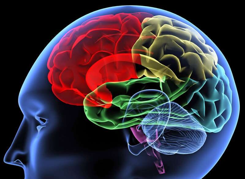 Check Out The Best and Simplest Ways To Speed Up Your Brain -MUST READ