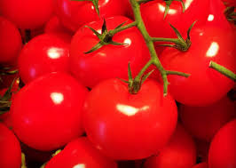 Check Out Why Tomatoes Intake Is Good For Your Health Which You Do Not Know -[CHECK OUT]